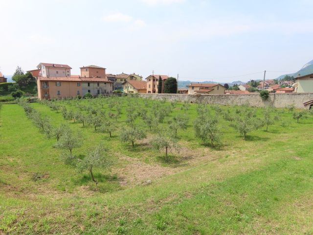 Oliveto, Civate
