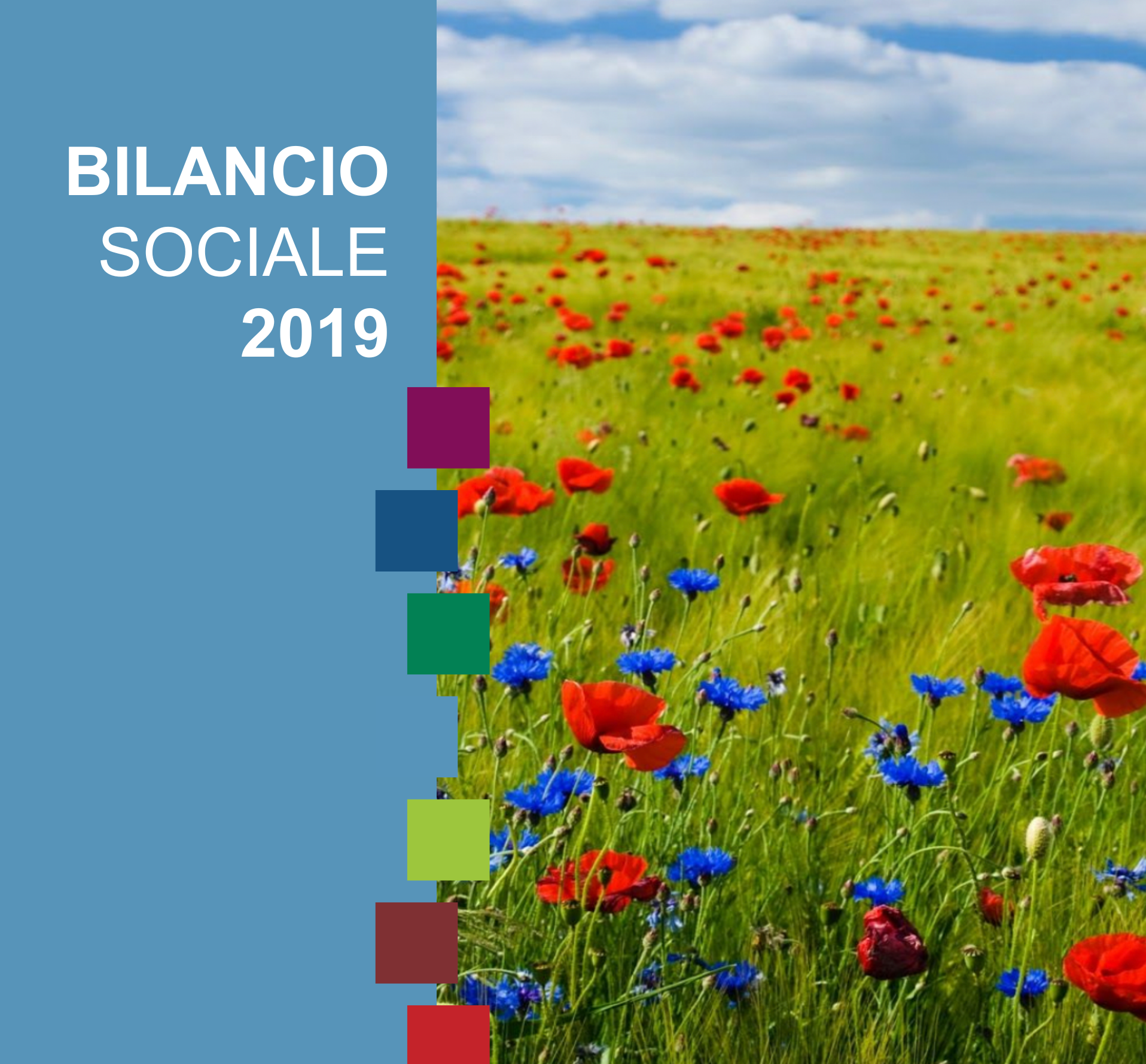 Bilancio Sociale